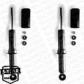 ammortizzatore d8345