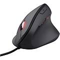 gxt 144 rexx mouse usb ottico 10000dpi mano destra nero