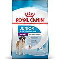 Royal Canin Giant Junior Crocchette Cane 15 Kg