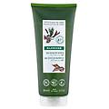 gel doccia nutritivo ed energizzante al burro di cupuacu bio profumazione scorza di cedro 200 ml