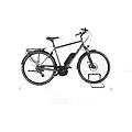 ebike ricondizionata · e-bird ultra 8k · buone condizioni