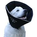 All Four Paws Comfy Cone Collare Veterinario Large Cani