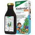 salus haus kindervital fruity lqd form pot 250ml