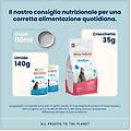 cat holistic sterilised busta multipack 30x70g merluzzo