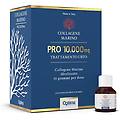 naturals srl collagene marino pro 10000 mg trattamento urto 12 flaconi integratore