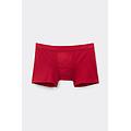 boxer in cotone natural fresh uomo rosso taglia 5