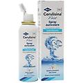 fast spray auricolare adulti e bambini 100 ml