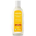 avena shampoo ristrutturante per capelli secchi 190 ml