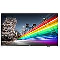 43 business tv 4k chromecast (43bfl2214/12)