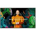 display per segnaletica digitale qm50c 50 ips ultrahd 4k