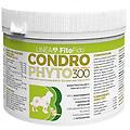 condrophyto polvere mangime complementare per cani e gatti 300g