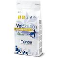 Monge Vetsolution Urinary Oxalate Linea Medica Cibo Secco Gatti Sacco 1 5 Kg