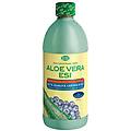srl aloe vera puro succo gusto mirtillo 1lt