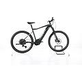 ebike ricondizionata · fathom e+1 · buone condizioni