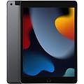 ipad 10. 2'' 256gb wi-fi + cellular 9&ordf; generazione grigio siderale