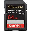 scheda di memoria sd sdsdxep-064g-gn4in 64 gb