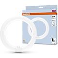 Osram Tubo Led Circolare Per Dispositivi Elettromagnetici Attacco 12 W G10q