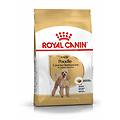 crocchette per cani barboncino adulti sacco 1 5kg