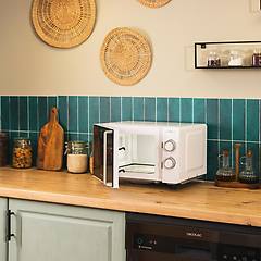 Cecotec Forno A Microonde 20l Proclean 3020 Flatbed. 700w