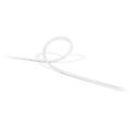 hue white and color ambiance lightstrip da esterno 2m