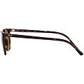 occhiali da sole elliot rb2197 902/33