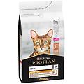 purina pro plan adult 1+ derma care cibo secco con salmone gatti adulti sacco 1 5kg