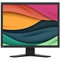 Eizo Flexscan S2134 Monitor Pc 54 1 Cm 21 3 1600 X 1200 Pixel Uxga Lcd Grigio