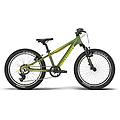 x-coady 20 fs green