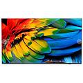 50hfl6214u 127 cm (50) 4k ultra hd smart tv wi-fi antracite 400 cd/m² display arrotolabile
