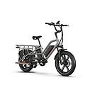 transer cargo bike elettrica 48v13ah a doppia batteria