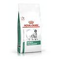 diet satiety weight management crocchette per cani sacco 6kg
