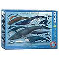 - puzzle balene e delfini (1000 pezzi)