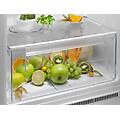 frigo inc 2p 258lt h158 static low kts5le16s