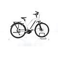 ebike ricondizionata · sheffield 9 · buone condizioni