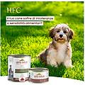hfc natural dog sfilaccetti lattina multipack 12x280g filetto di pollo