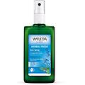 weleda deodorante spray salvia