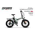- fat bike itcl48rs-e-g-verde