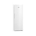 congelatore verticale fn 4372 d ws-1 classe