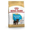 italia srl cane yorkshire terrier puppy 1 5kg
