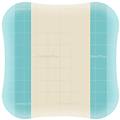 coloplast spa comfeel plus 10x10 10pz 33110