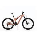 ebike ricondizionata · contessa e-ride patron 910 xt · ottimo stato