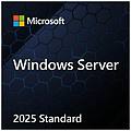 - windows server 2025 standard dvd box con key