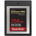 256gb extreme pro scheda cfexpress type b fino a 1700 mb/s ripresa filmati raw 4k + rescuepro