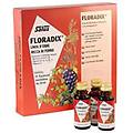 floradix monodose 10fl