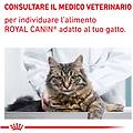 v-diet diabetic multipack gatto 12x85g