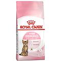 kitten sterilised cibo secco per gatti 2kg