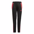ADIDAS pantaloni da allenamento per bambini tiro24