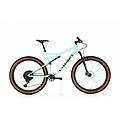 SPECIALIZED mtb ricondizionata · epic s-works carbonio xx1 · buone condizioni