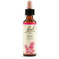 Schwabe Pharma Fiori Di Bach Pine