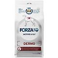 dermo active cibo secco cani adulti sacco 4kg